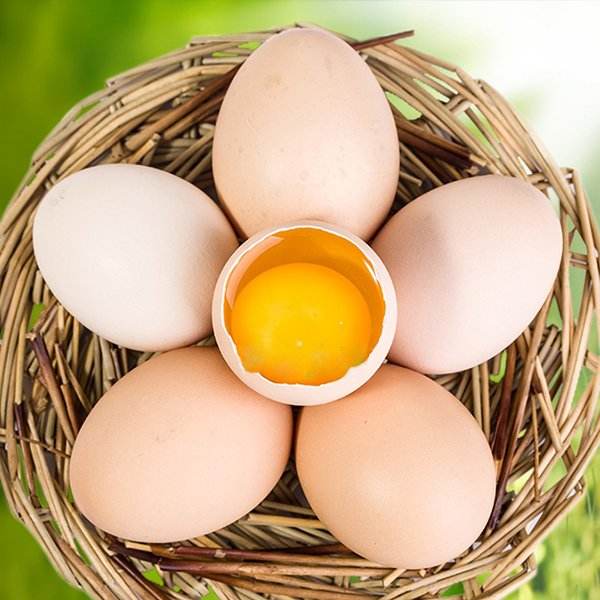 <b>农家土鸡蛋</b>