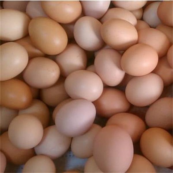 农家土鸡蛋