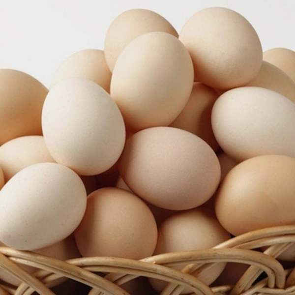 农家土鸡蛋