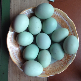 青壳土鸡蛋